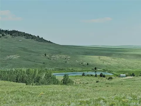 1332 Frees Loop, Hartsel, CO 80449 photo 2