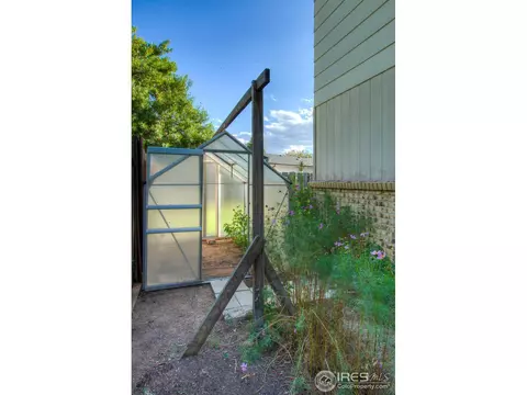 807 Elm St, Windsor, CO 80550 photo 8