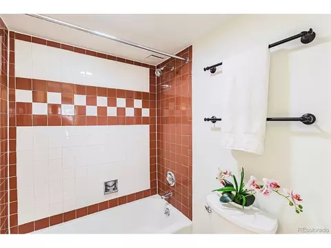 Bath - 4801 E 9th Ave #209S, Denver, CO 80220 photo 3 of 4
