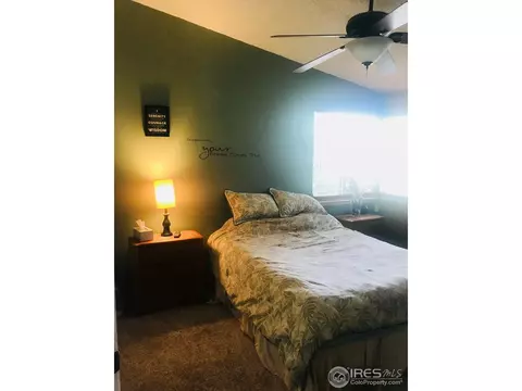 4374 E 118th Pl, Thornton, CO 80233 photo 9
