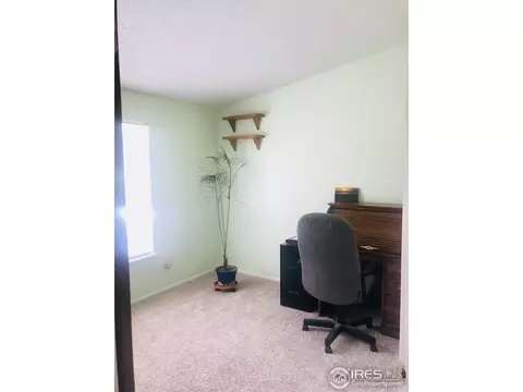 4374 E 118th Pl, Thornton, CO 80233 photo 12