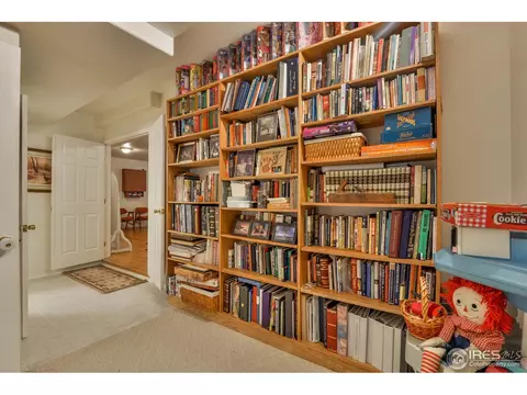 100 Bein St, Berthoud, CO 80513 photo 24
