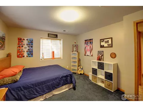 313 E Colorado Ave, Berthoud, CO 80513 photo 30