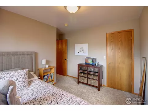 313 E Colorado Ave, Berthoud, CO 80513 photo 23