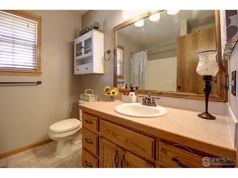 313 E Colorado Ave, Berthoud, CO 80513 photo 17