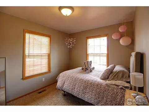 313 E Colorado Ave, Berthoud, CO 80513 photo 16