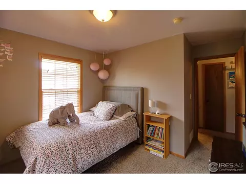 313 E Colorado Ave, Berthoud, CO 80513 photo 19