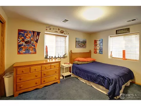 313 E Colorado Ave, Berthoud, CO 80513 photo 28