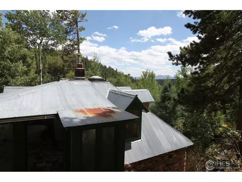 71 Nelson, Ward, CO 80481 photo 29