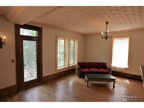 71 Nelson, Ward, CO 80481 photo 5