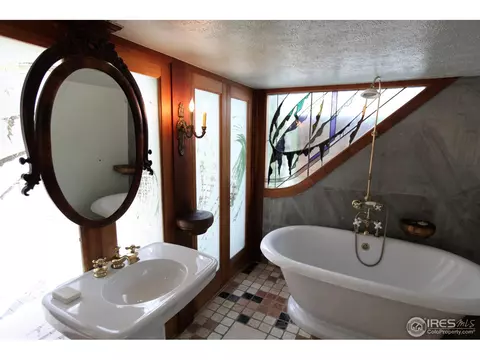 71 Nelson, Ward, CO 80481 photo 20
