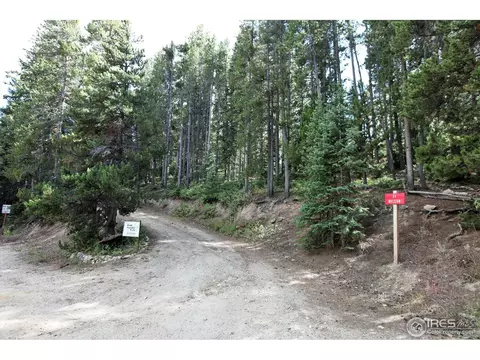 71 Nelson, Ward, CO 80481 photo 32