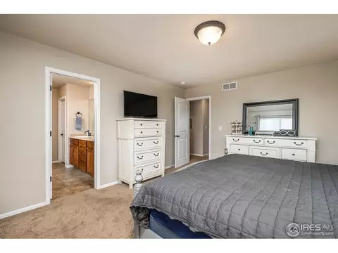 568 Ellingwood Pointe Dr, Severance, CO 80550 photo 13