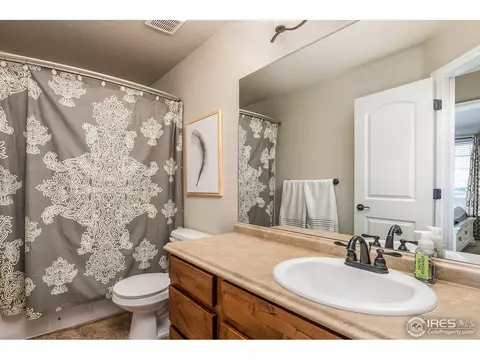 568 Ellingwood Pointe Dr, Severance, CO 80550 photo 19