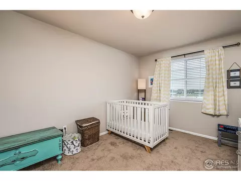 568 Ellingwood Pointe Dr, Severance, CO 80550 photo 18