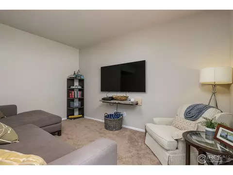568 Ellingwood Pointe Dr, Severance, CO 80550 photo 17