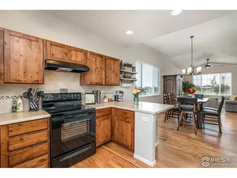 568 Ellingwood Pointe Dr, Severance, CO 80550 photo 8