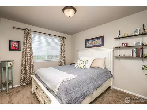 568 Ellingwood Pointe Dr, Severance, CO 80550 photo 20