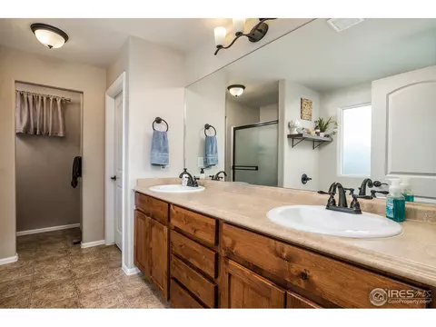 568 Ellingwood Pointe Dr, Severance, CO 80550 photo 14
