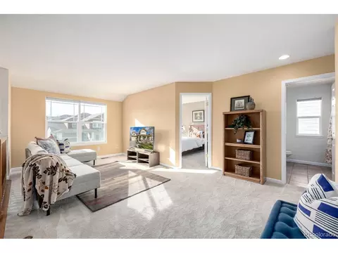 8445 Braun Loop, Arvada, CO 80005 photo 24