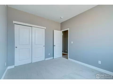 404 Gannet Peak Dr, Windsor, CO 80550 photo 34