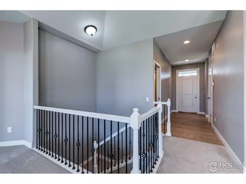 404 Gannet Peak Dr, Windsor, CO 80550 photo 4