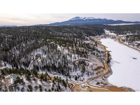 125 Peregrine Way, Divide, CO 80814
