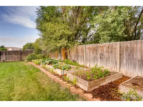 404 Hemlock Dr, Windsor, CO 80550 photo 25