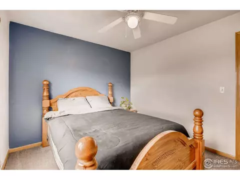 404 Hemlock Dr, Windsor, CO 80550 photo 18