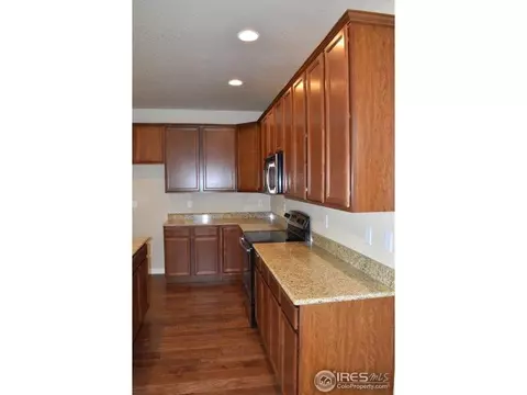 5638 Chantry Dr, Windsor, CO 80550 photo 4