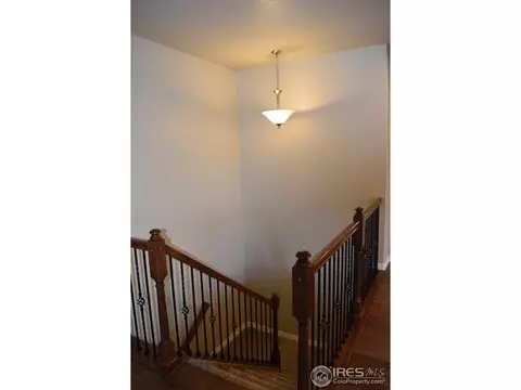 5638 Chantry Dr, Windsor, CO 80550 photo 9