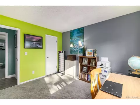 19521 E Linvale Dr, Aurora, CO 80013 photo 20