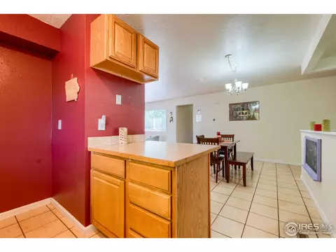 1109 Nantucket St, Windsor, CO 80550 photo 11