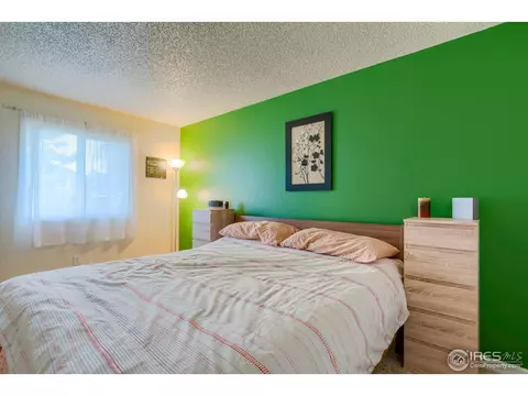 1109 Nantucket St, Windsor, CO 80550 photo 15