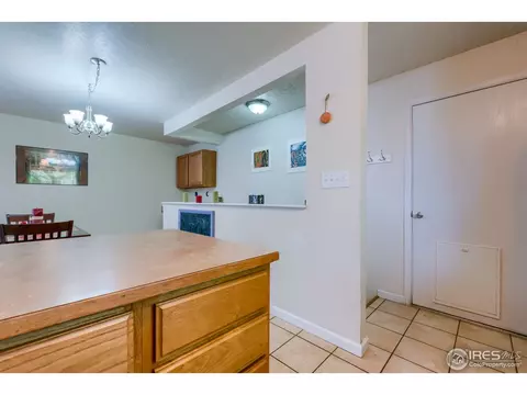 1109 Nantucket St, Windsor, CO 80550 photo 14