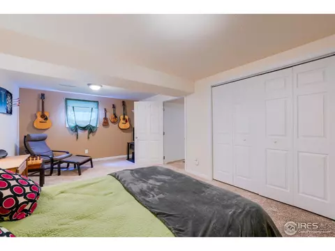 1109 Nantucket St, Windsor, CO 80550 photo 22