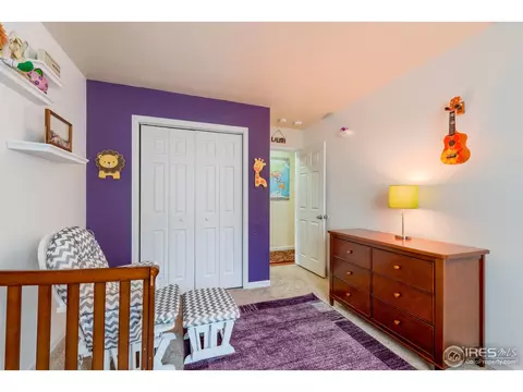 1109 Nantucket St, Windsor, CO 80550 photo 19