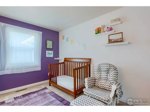 1109 Nantucket St, Windsor, CO 80550 photo 18