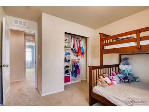 2550 E 160th Pl, Thornton, CO 80602 photo 19