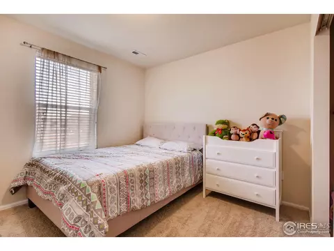2550 E 160th Pl, Thornton, CO 80602 photo 20
