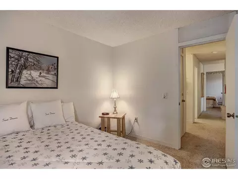 1173 Ski Hill Rd #I-120, Breckenridge, CO 80424 photo 12