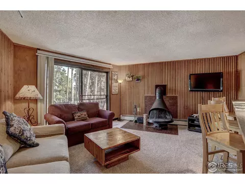 1173 Ski Hill Rd #I-120, Breckenridge, CO 80424 photo 5