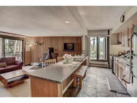 1173 Ski Hill Rd #I-120, Breckenridge, CO 80424 photo 4