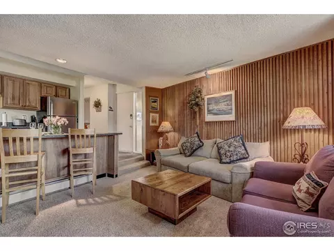 1173 Ski Hill Rd #I-120, Breckenridge, CO 80424 photo 2