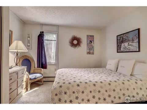 1173 Ski Hill Rd #I-120, Breckenridge, CO 80424 photo 10