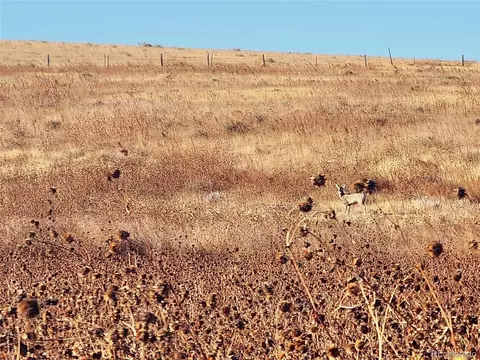 Undisclosed, Merino, CO 80741 photo 22