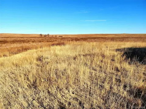 Undisclosed, Merino, CO 80741 photo 25