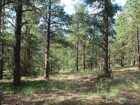 2083 Riverside Dr, Lyons, CO 80540 photo 1