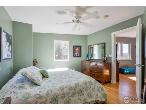 635 Mount Massive Dr, Livermore, CO 80536 photo 27