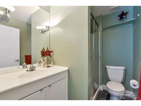 635 Mount Massive Dr, Livermore, CO 80536 photo 29